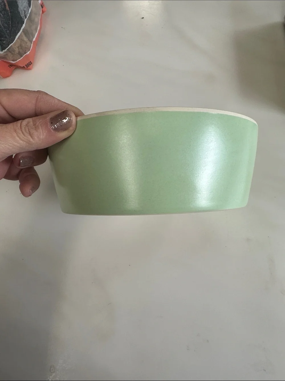 Bamboo Pet Bowl - Cream Eco-Friendly Dog Bowl